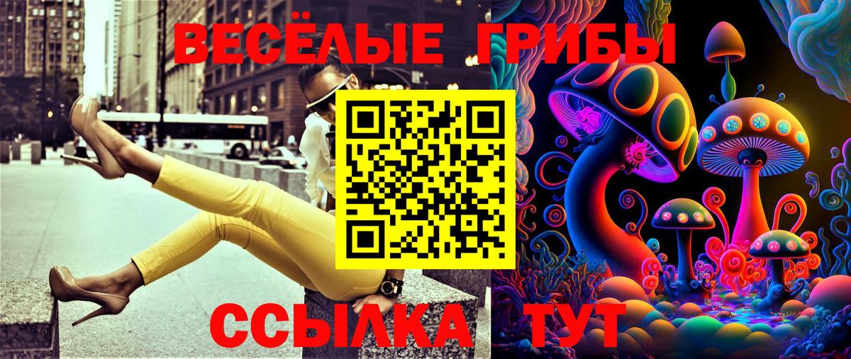Ржев  Галлюциногенные грибы мицелий  Вход с VPN 