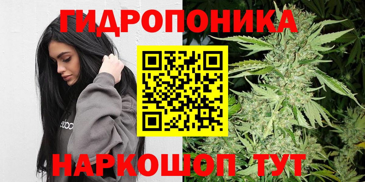 Шишки марихуана LSD WEED  Вход с VPN  Ржев  Конопля план  Марихуана гибрид 